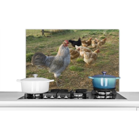 Spatscherm Keuken - Kookplaat Achterwand - Spatwand Fornuis - 90x60 cm - Haan tussen de kippen in het gras - Aluminium - Wanddecoratie - Muurbeschermer - Hittebestendig
