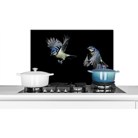Spatscherm Keuken - Kookplaat Achterwand - Spatwand Fornuis - 70x50 cm - Vogels - Veren - Zwart - Aluminium - Wanddecoratie - Muurbeschermer - Hittebestendig