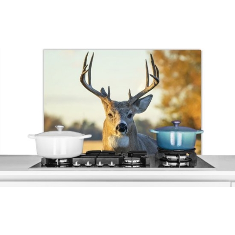 Spatscherm Keuken - Kookplaat Achterwand - Spatwand Fornuis - 90x60 cm - Hert - Gras - Herfst - Gewei - Natuur - Dieren - Aluminium - Wanddecoratie - Muurbeschermer - Hittebestendig