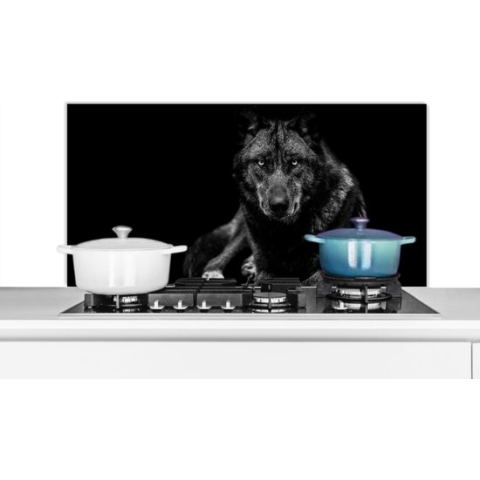Spatscherm Keuken - Kookplaat Achterwand - Spatwand Fornuis - 100x50 cm - Dieren - Wolf - Zwart - Wit - Portret - Aluminium - Wanddecoratie - Muurbeschermer - Hittebestendig