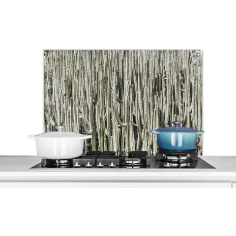 Spatscherm - Spatwand - Cactus - Natuur - Groen - Plant - Keuken decoratie - 90x60 cm