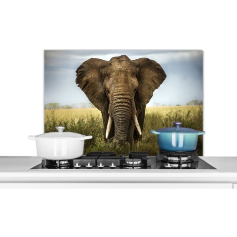 Spatscherm Keuken - Kookplaat Achterwand - Spatwand Fornuis - 80x55 cm - Olifant - Dieren - Gras - Aluminium - Wanddecoratie - Muurbeschermer - Hittebestendig