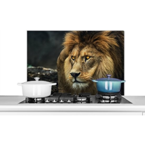 Spatscherm Keuken - Kookplaat Achterwand - Spatwand Fornuis - 90x60 cm - Leeuw - Portret - Wild - Aluminium - Wanddecoratie - Muurbeschermer - Hittebestendig