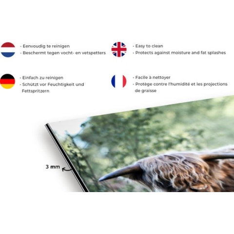 Spatscherm Keuken - Kookplaat Achterwand - Spatwand Fornuis - 120x80 cm - Schotse Hooglanders - Bos - Dieren - Aluminium - Wanddecoratie - Muurbeschermer - Hittebestendig