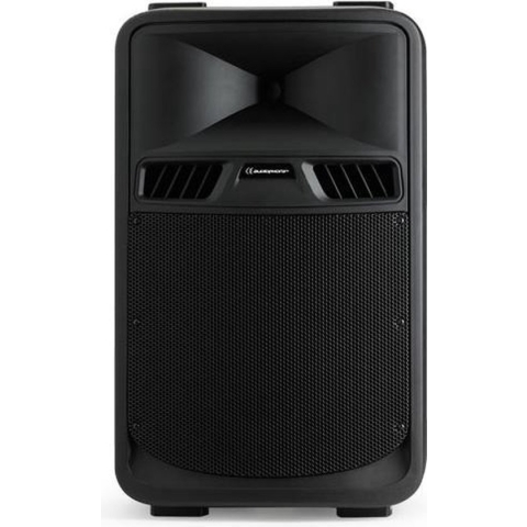 Audiophony sr12p - passieve luidspreker