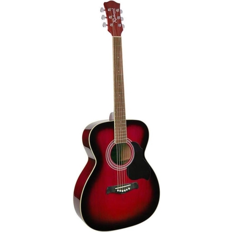 Akoestische gitaar Richwood Artist Series Auditorium RA-12-RS