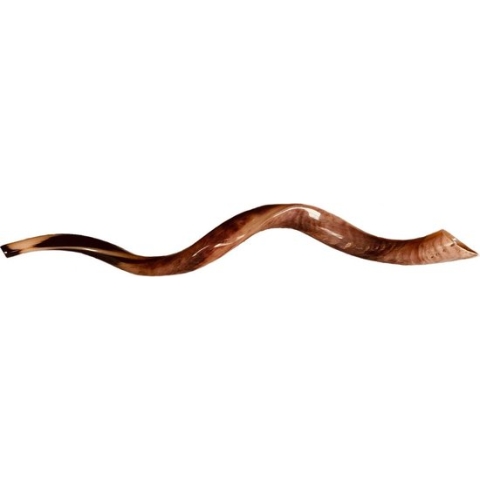 Shofar | Sjofar | 65CM