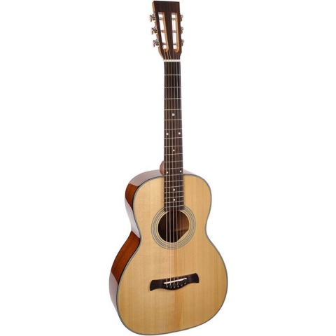 Akoestische gitaar Richwood Master Series Parlor P-40