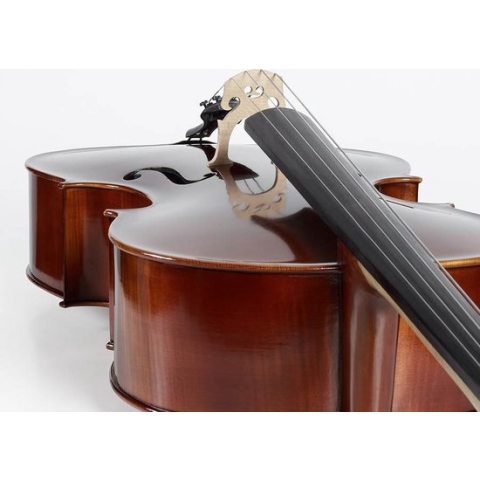 Cello 4/4 Rudolph Elementary series RC-1044 massief Olie lak