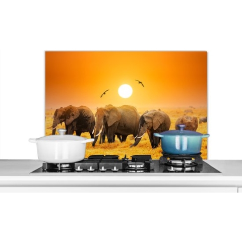 Spatscherm Keuken - Kookplaat Achterwand - Spatwand Fornuis - 90x60 cm - Olifant - Vogel - Oranje - Aluminium - Wanddecoratie - Muurbeschermer - Hittebestendig