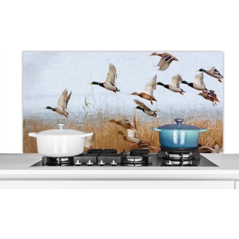 Spatscherm Keuken - Kookplaat Achterwand - Spatwand Fornuis - 120x60 cm - Eend - Vogel - Riet - Water - Eenden - Aluminium - Wanddecoratie - Muurbeschermer - Hittebestendig