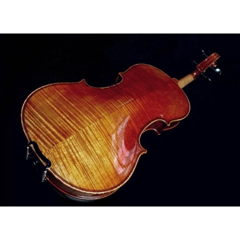 Viool Rudolph RV-1534 3/4