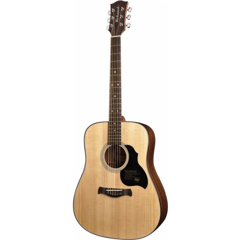 Akoestische gitaar Richwood Master Series Dreadnought D-40