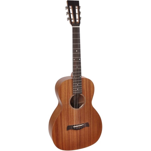 Akoestische gitaar Richwood Master Series Parlor P-50