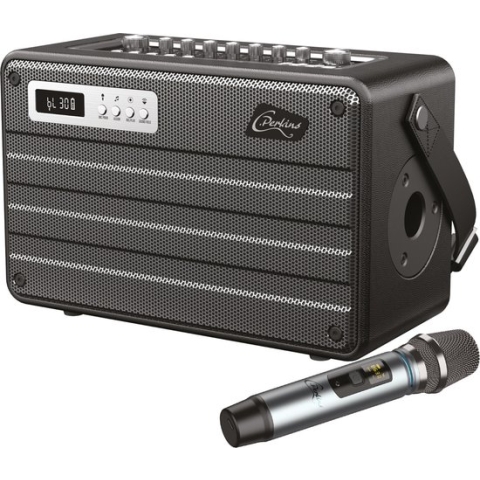 Draagbare COMBO speaker met vele ingangen voor de audio freak - 100W