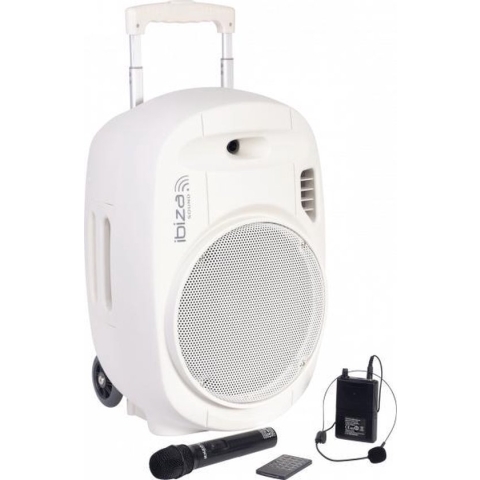 Draagbare luidspreker 700Watt met USB, Bluetooth en draadloze microfoons