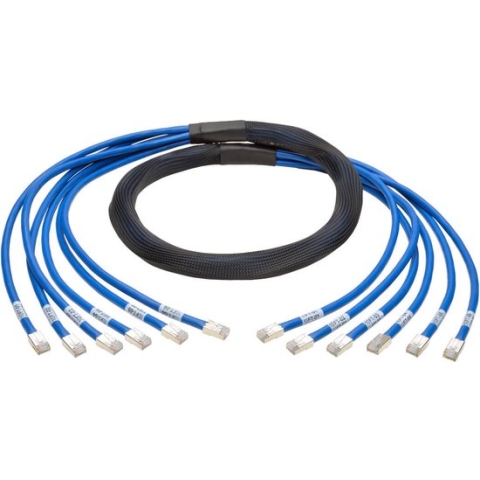 Tripp Lite Cat6/Cat6a, 10ft netwerkkabel 3,05 m Blauw