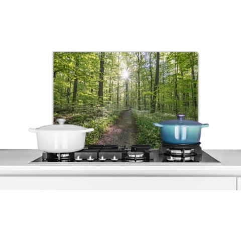 Spatscherm Keuken - Kookplaat Achterwand - Spatwand Fornuis - 60x40 cm - Beukenbomen met een bospad - Aluminium - Wanddecoratie - Muurbeschermer - Hittebestendig