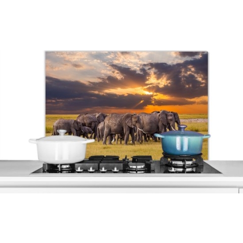 Spatscherm Keuken - Kookplaat Achterwand - Spatwand Fornuis - 90x60 cm - Kudde olifanten bij een meer - Aluminium - Wanddecoratie - Muurbeschermer - Hittebestendig