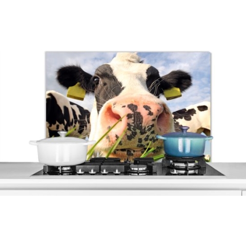 Spatscherm Keuken - Kookplaat Achterwand - Spatwand Fornuis - 80x55 cm - Koe - Boerderij - Gras - Dieren - Aluminium - Wanddecoratie - Muurbeschermer - Hittebestendig