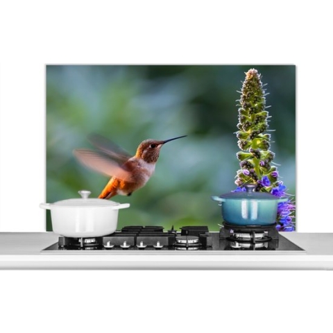 Spatscherm Keuken - Kookplaat Achterwand - Spatwand Fornuis - 100x65 cm - Vogel - Kolibrie - Bloem - Aluminium - Wanddecoratie - Muurbeschermer - Hittebestendig