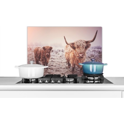 Spatscherm Keuken - Kookplaat Achterwand - Spatwand Fornuis - 70x50 cm - Schotse Hooglanders - Sneeuw - Zon - Aluminium - Wanddecoratie - Muurbeschermer - Hittebestendig