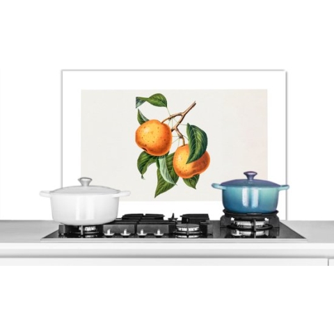 Spatscherm Keuken - Kookplaat Achterwand - Spatwand Fornuis - 90x60 cm - Fruit - Eten - Bladeren - Aluminium - Wanddecoratie - Muurbeschermer - Hittebestendig