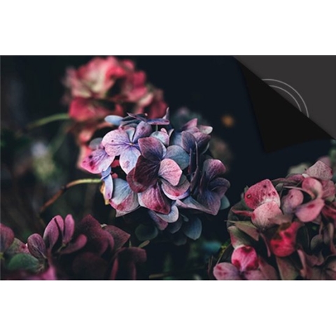 Inductie Beschermer Hortensia print Exclusief 81x52cm