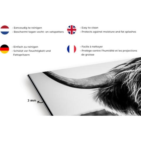Spatscherm Keuken - Kookplaat Achterwand - Spatwand Fornuis - 120x60 cm - Koe - Schotse hooglander - Zwart - Wit - Dier - Natuur - Wild - Aluminium - Wanddecoratie - Muurbeschermer - Hittebestendig