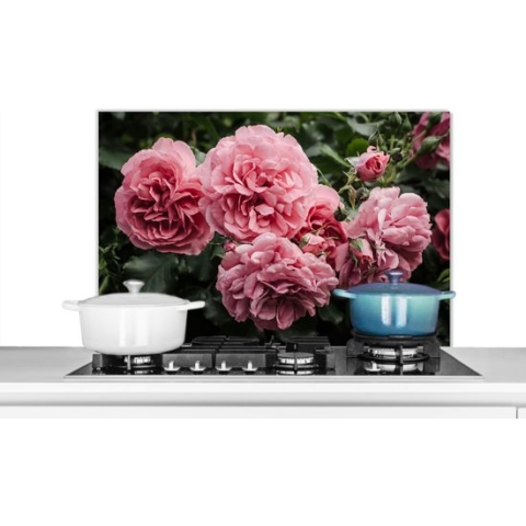 Spatscherm Keuken - Kookplaat Achterwand - Spatwand Fornuis - 90x60 cm - Roze - Bloemen - Rozen - Aluminium - Wanddecoratie - Muurbeschermer - Hittebestendig
