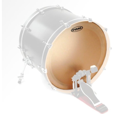 Evans BD20GB3C - 20 Genera EQ3 Coated vel