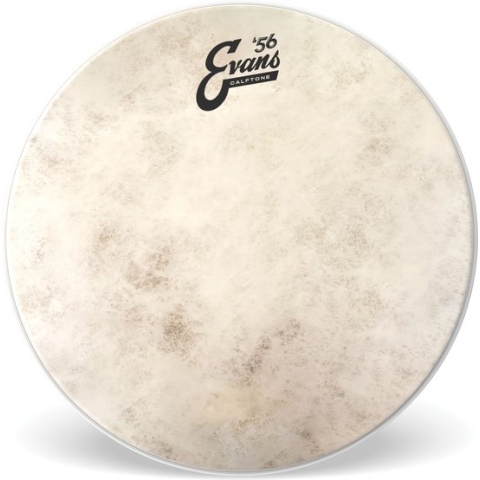 Evans Calftone 15", TT15C7 Tom Batter - Tom vel