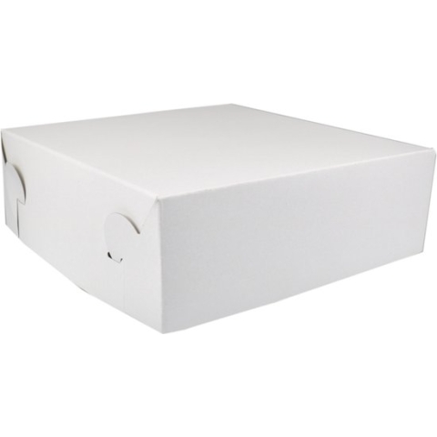 Zwanenhals/ verzenddoos - karton - 30x30x10cm - duplex - wit - 50 stuks