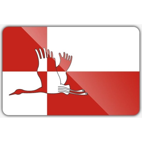 Vlag gemeente Cranendonck - 150 x 225 cm - Polyester