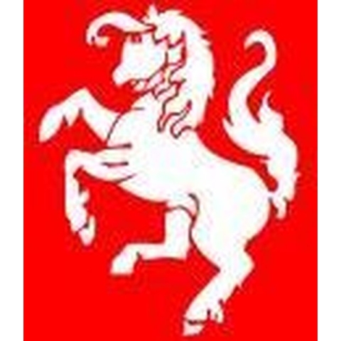 Vlag Twente 150x225cm