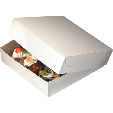 Zwanenhals/ verzenddoos - karton - 36x36x9cm - duplex - wit - 50 stuks