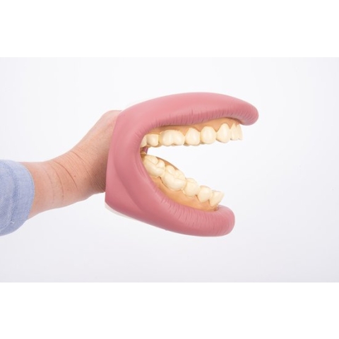 Instructie Mond Tand Hygiëne