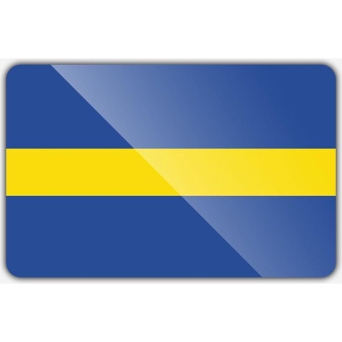 Vlag gemeente Borne - 150 x 225 cm - Polyester