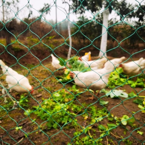Pluimveennet kippennet zeer robuust volièreget van 36 draden met vaste knoop, maas, 5 cm, gevogeltehek, zonder stroom, ter bescherming van roofvogels, ideale aanvulling op het kippenhok 1,5 x 10 m
