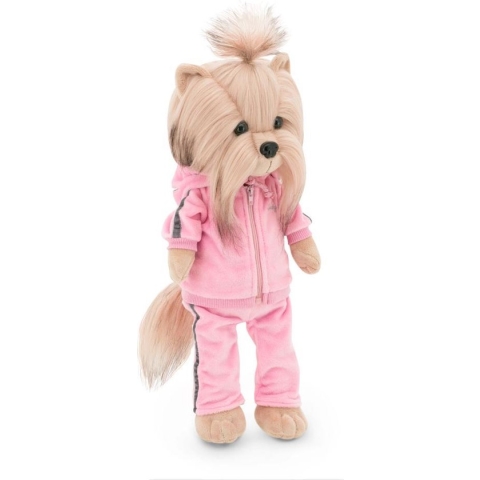 Lucky Yorksheer - Doggy Yoyo Fitness