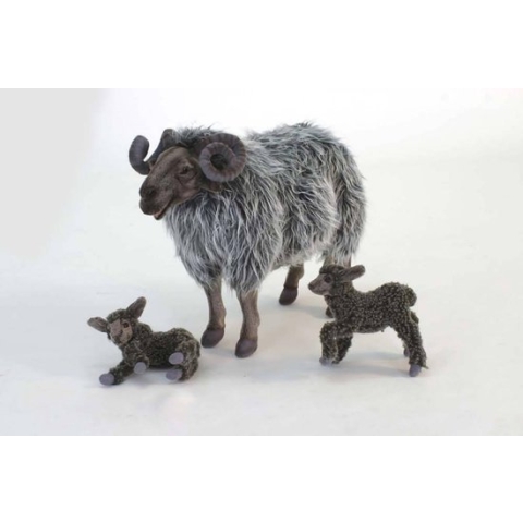 Knuffel Schaap Ram 45 cm. Hansa