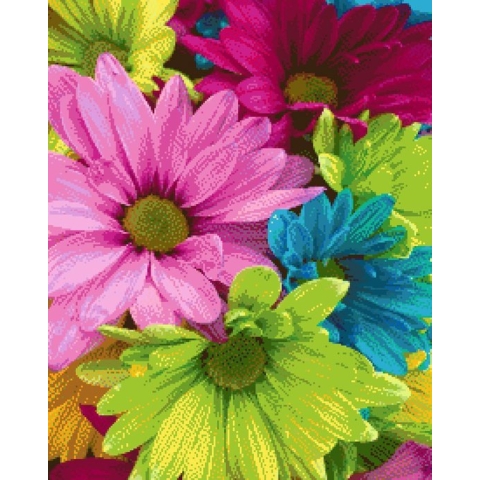 MyHobby Borduurpakket –  Gekleurde Madeliefjes 40×50 cm - Aida stof 5,5 kruisjes/cm (14 count)