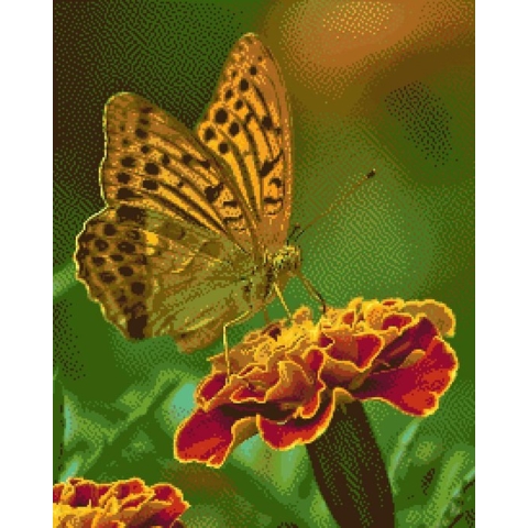 MyHobby Borduurpakket – Gele vlinder op bloem 40×50 cm - Aida stof 5,5 kruisjes/cm (14 count)