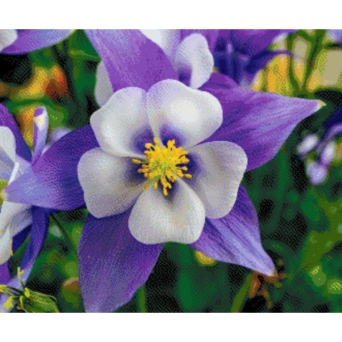 MyHobby Borduurpakket –  Wit paarse bloem 60×50 cm - Aida stof 5,5 kruisjes/cm (14 count)