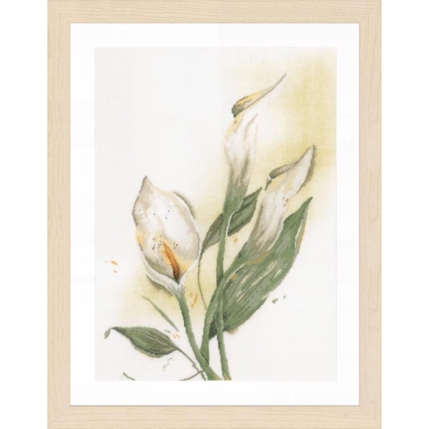 Lanarte pakket kit Calla Lily - Lanarte - PN-0008015   O-VP