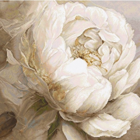 Leti Stitch Peony Poses borduren (pakket) L8083