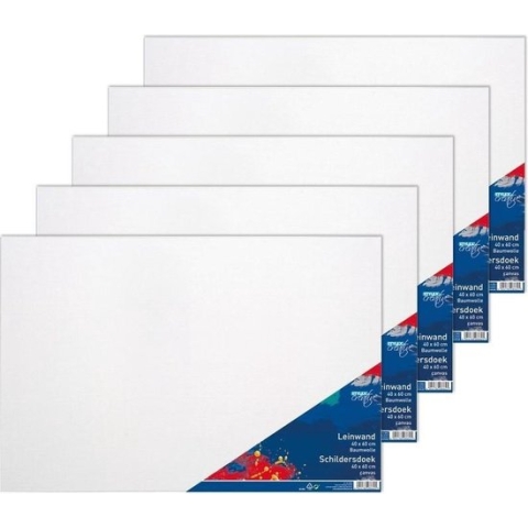 5x Canvas schildersdoeken 40 x 60 cm voor hobby verf schilderen - hobby materialen artikelen
