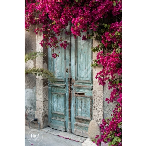 100% Nederlandse Productie! │ Diamond Painting │ Oude Deur met Bougainvillea │ Formaat 60 x 90 cm │ Diamond Painting Pakket Volwassen │ Volledige bedekking │ Vierkant │ Full │ Flitzz Diamond Painting