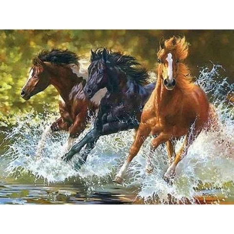 Diamond painting - Paarden in het water - Geproduceerd in Nederland - 50 x 70 cm - canvas materiaal - vierkante steentjes - Binnen 2-3 werkdagen in huis