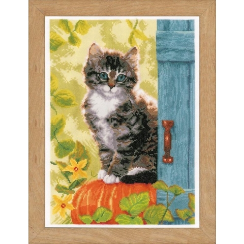 Telpakket kit Poes op pompoen  - Vervaco - PN-0158303
